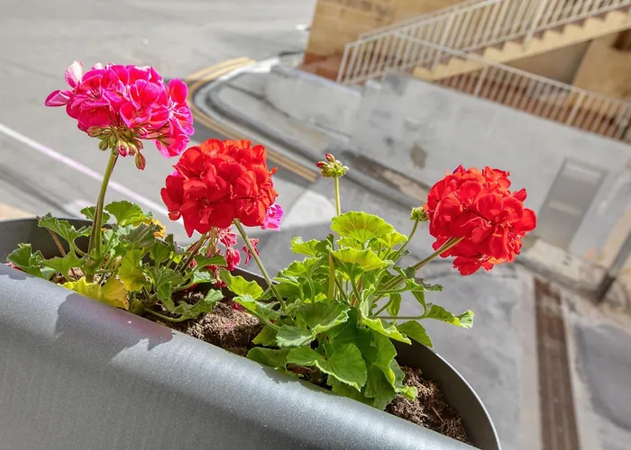 Cozy Minutes To Seafront Διαμέρισμα Kalkara