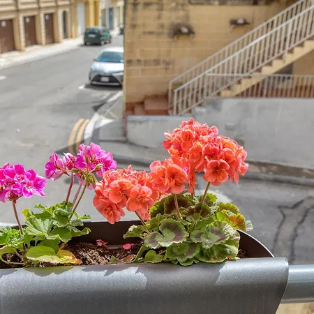 Lägenhet Cozy Minutes To Seafront