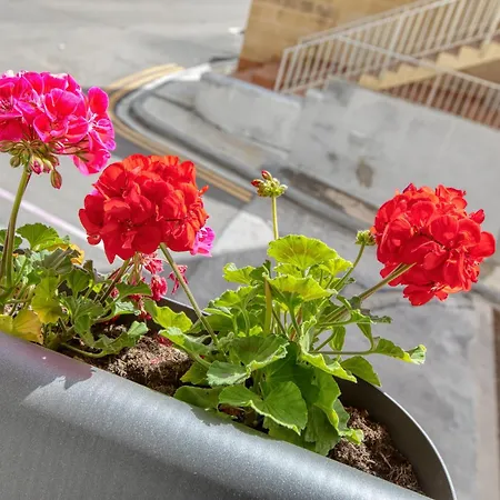 Cozy Minutes To Seafront Daire Kalkara